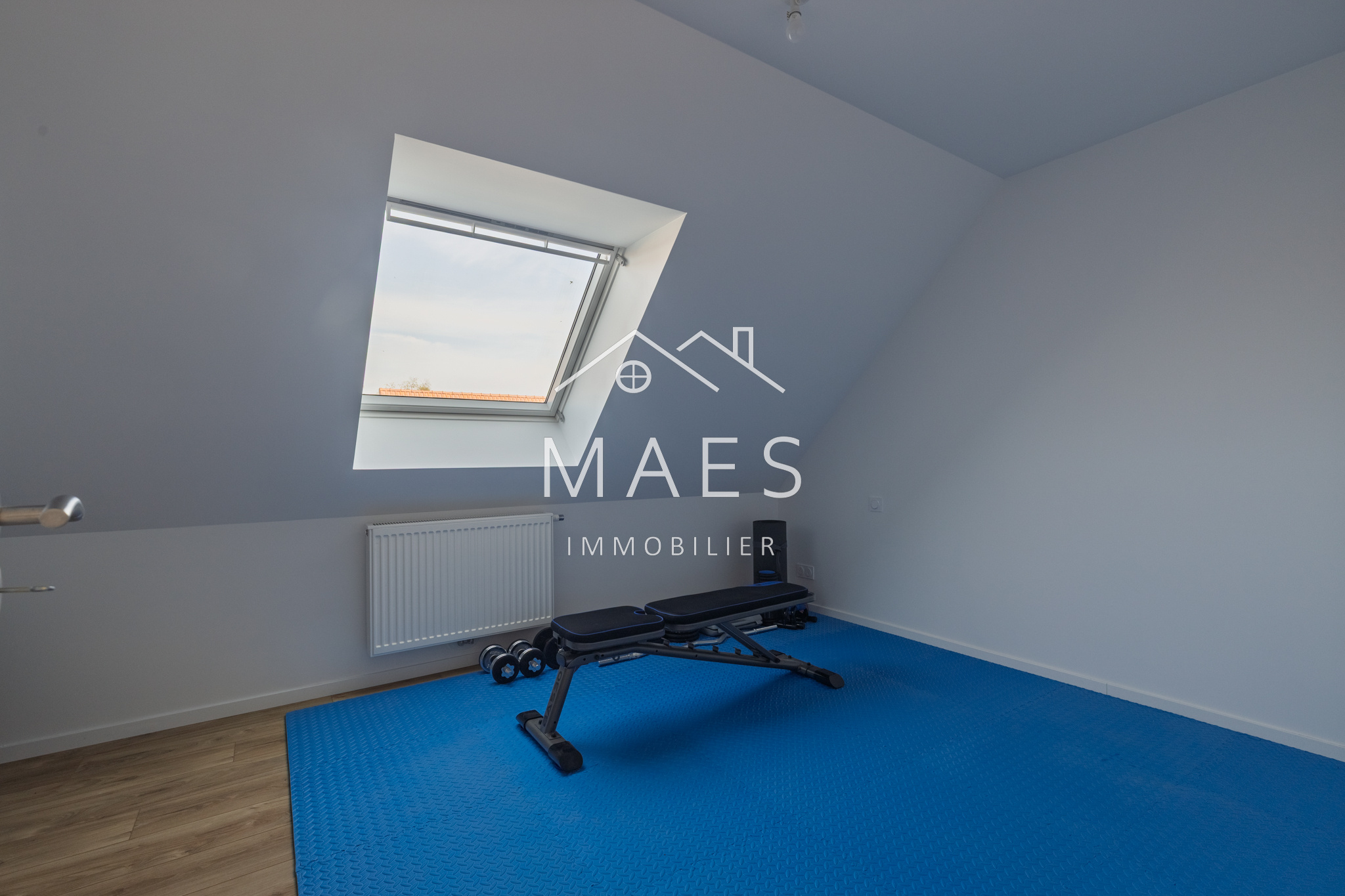 photo_e5fca36ffc74bd8a3b8bd0966022a6c6